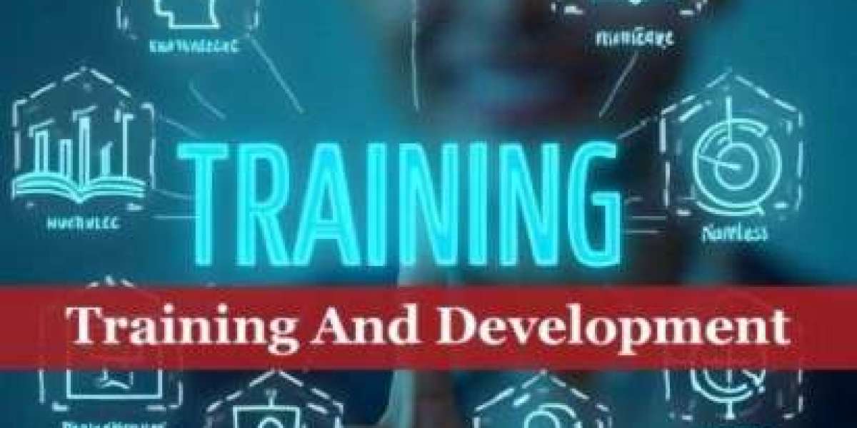 How training and development services Help Companies Stay Competitive