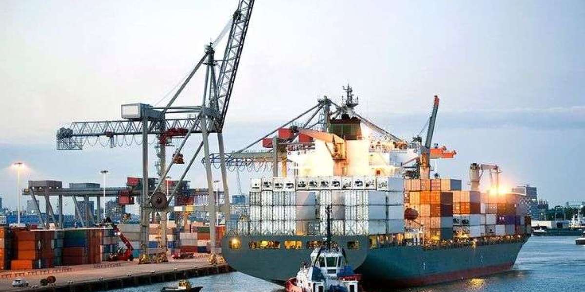 Understanding Import and Export Procedures in Australia