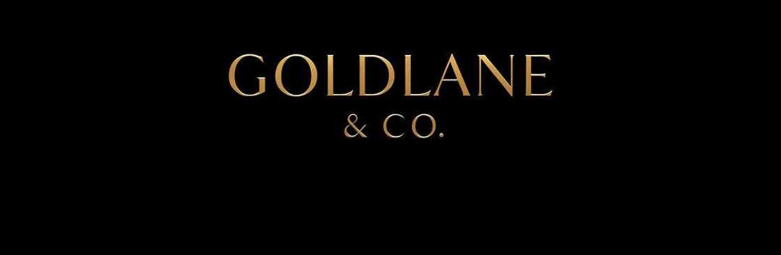 Alisa John Cover Image