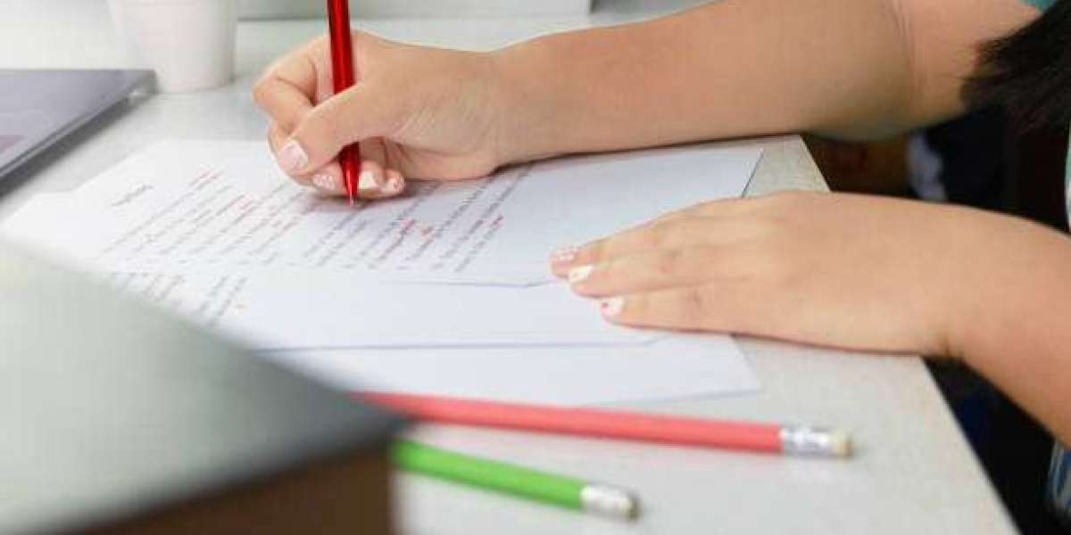 The Impact of Essay Writing on Language Development