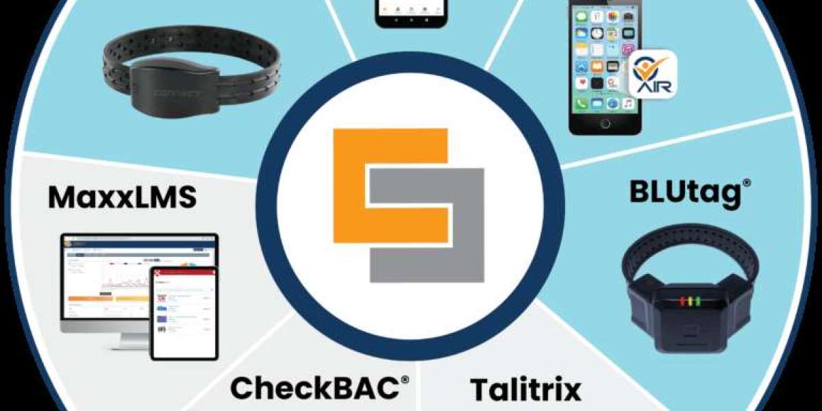 Looking for amzing Checkbac