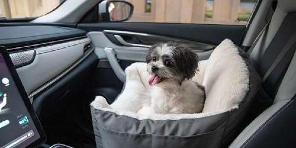 Global Pet Car Seat Market Size and Forecast Report 2026-2036
