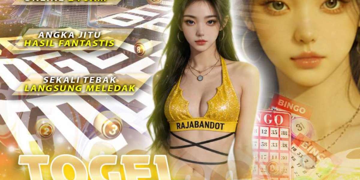 Panduan Lengkap Platform Online Rajabandot