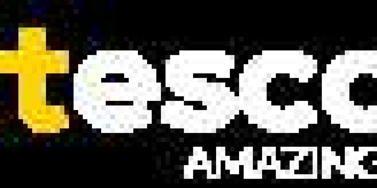 Escorts Exclusivas en Barcelona: Compañía de Lujo y Experiencias Premium