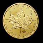 Leifs Coin Profile Picture