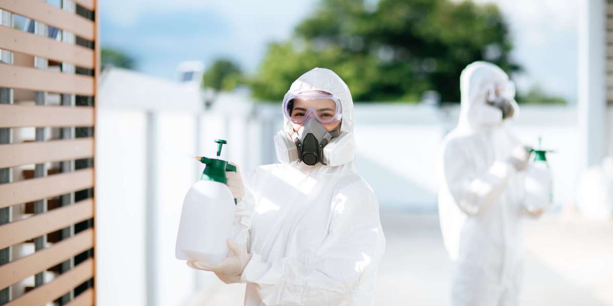 Pest Control in Dubai: Best Daily Tips to Stop Roaches