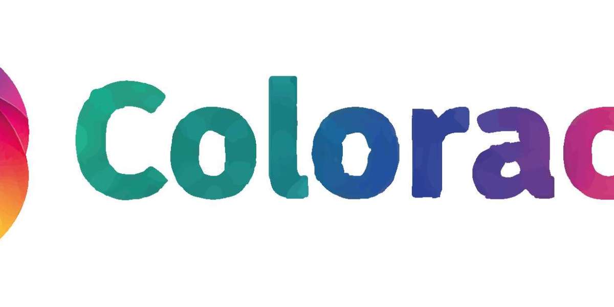 Summer Color Palettes That Feel Fresh, Modern, and Visually Balanced