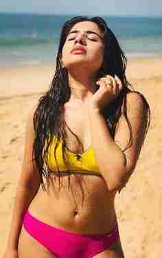 kashmiri escorts