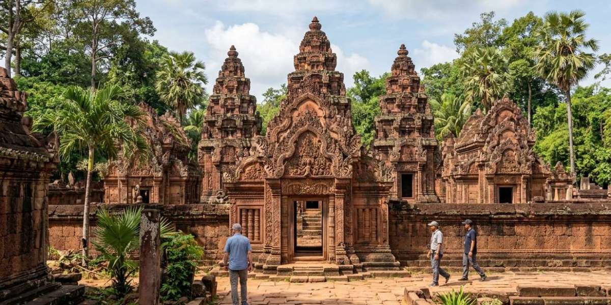 Online Methods to Check Your Cambodia e-Visa Status