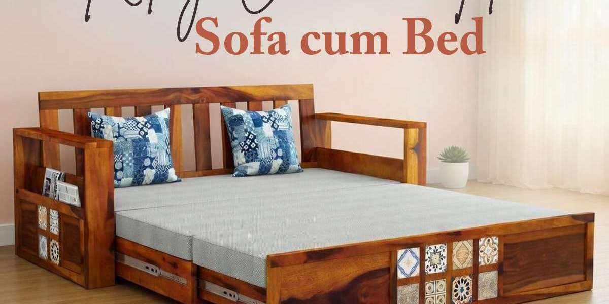 Stylish Sofa Cum Bed for Living Room with Extra Sleeping Space