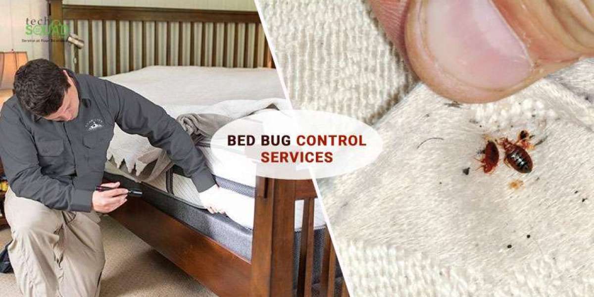 Services for Safe and Effective Pest Removal
