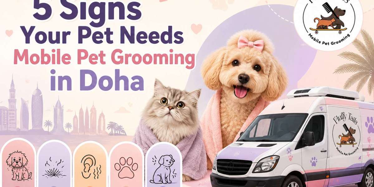 5 Signs Your Pet Needs Mobile Pet Grooming in Doha