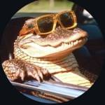 Onyxx Profile Picture
