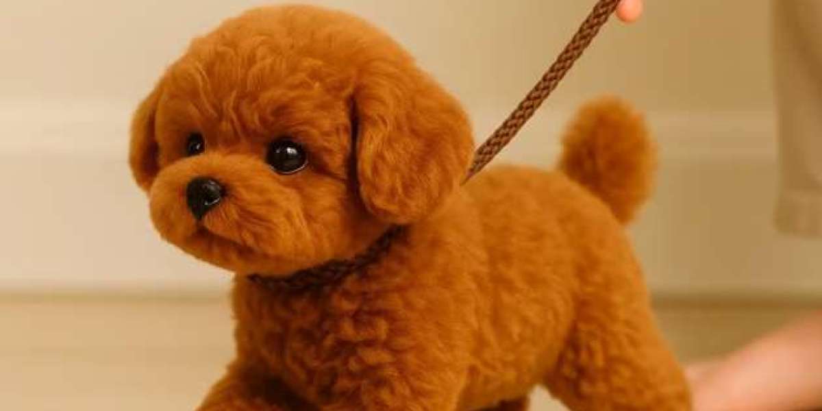 Wuffy Roboter Hund kaufen – Das interaktive Roboter-Haustier für [Wuffy Roboter Hund Vorteile] Kinder