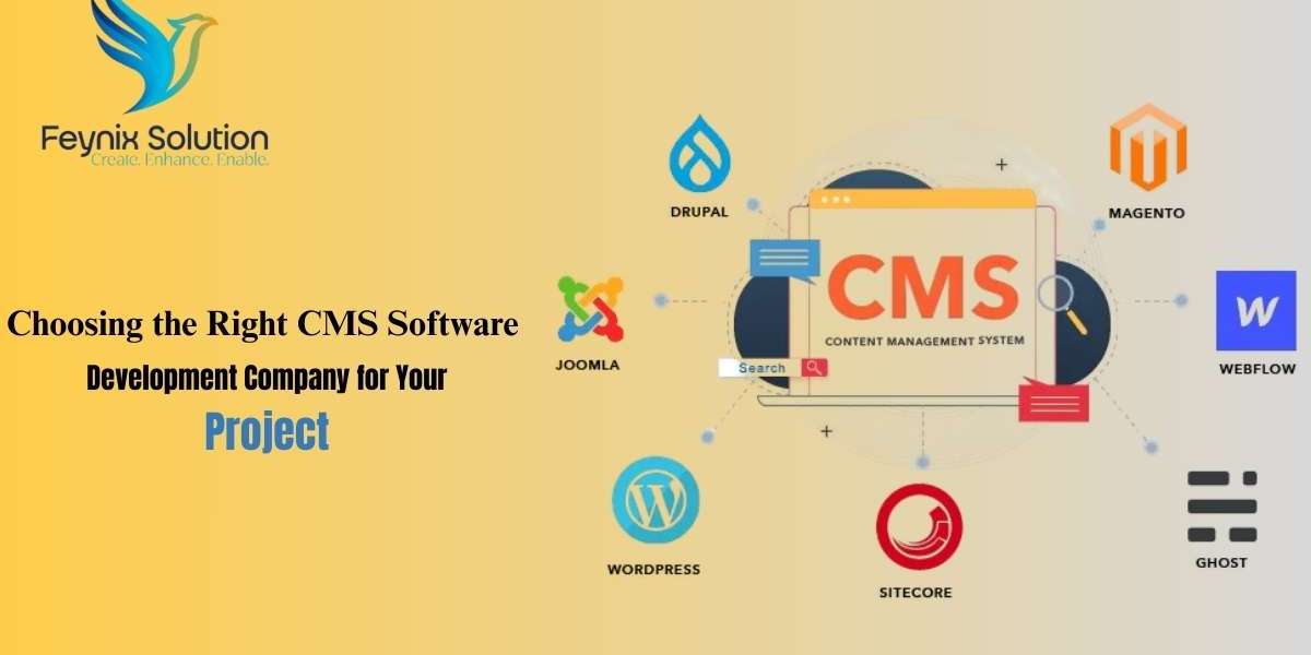 How the Right CRM Software Development Company Drives Business Growth