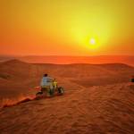 Jeddah Desert Safari Profile Picture