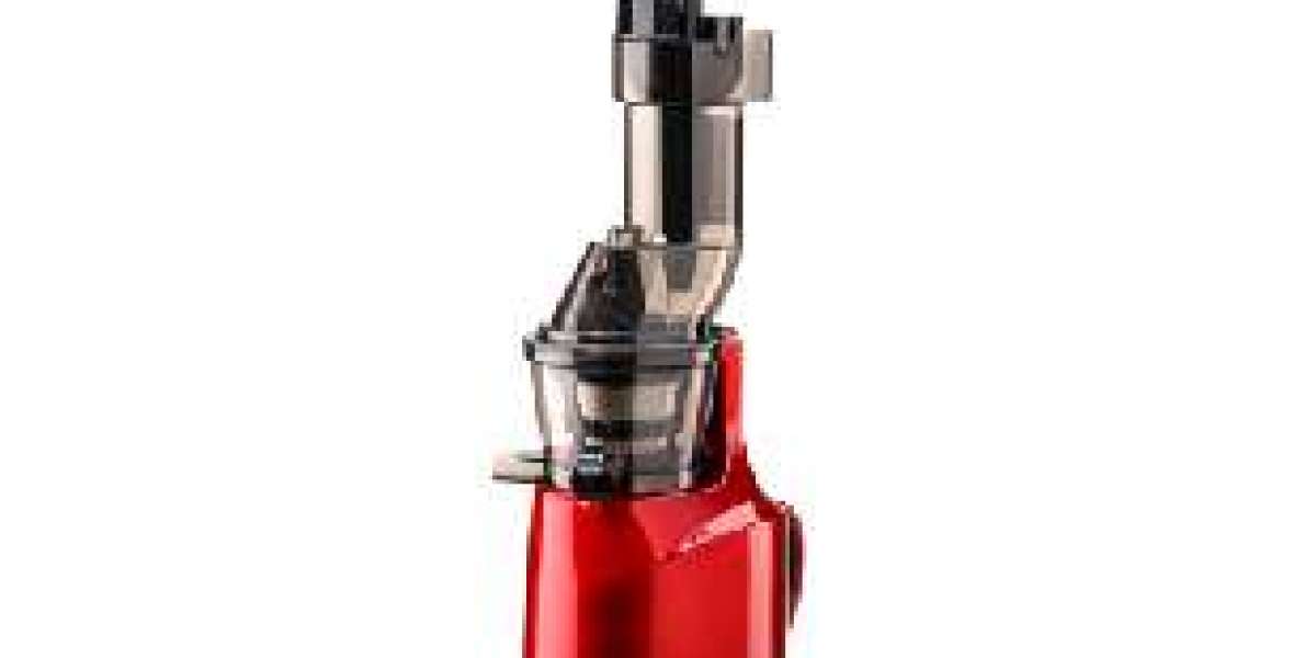 Food Chopper Manufacturer Innovation in Modern Kitchen Equipment Industry