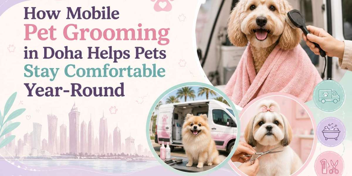 How Mobile Pet Grooming in Doha Helps Pets Stay Comfortable Year-Round