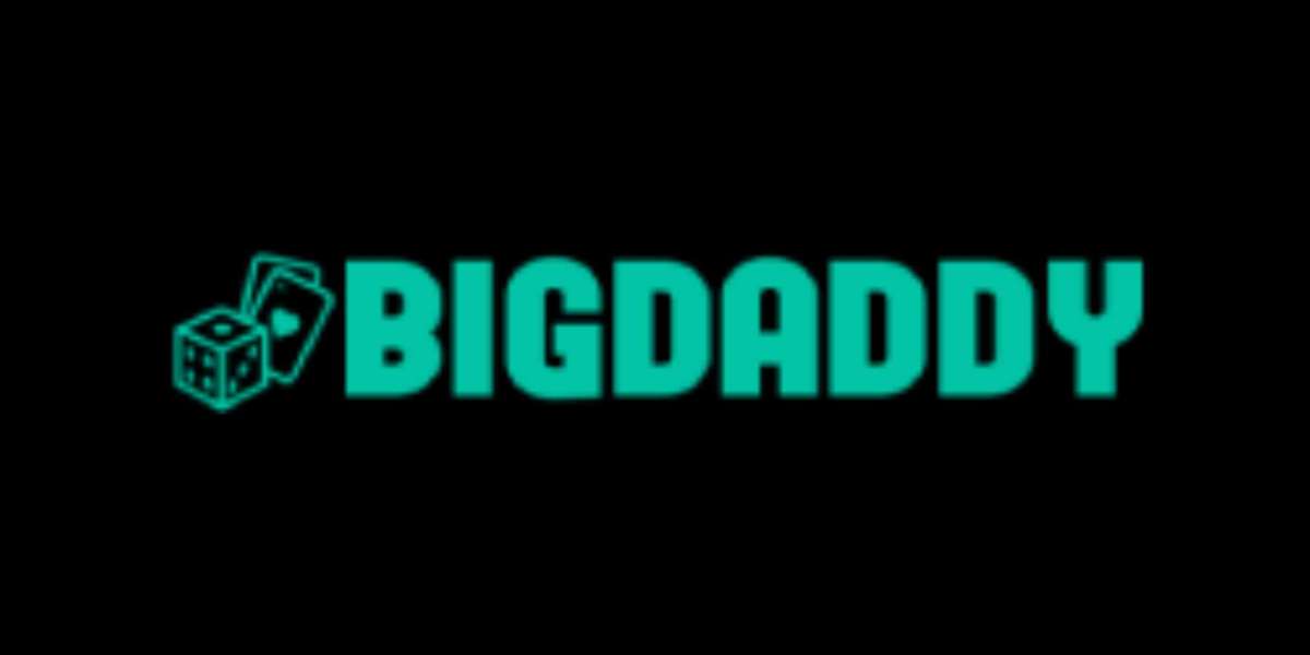 BigDaddy: A Reliable Cricket ID Platform for Every Cricket Enthusiast