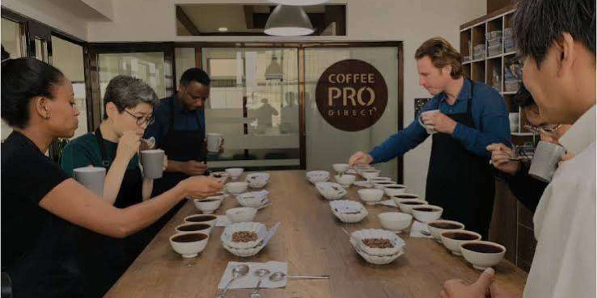 Unlocking the Potential of a 1kg Coffee Roaster