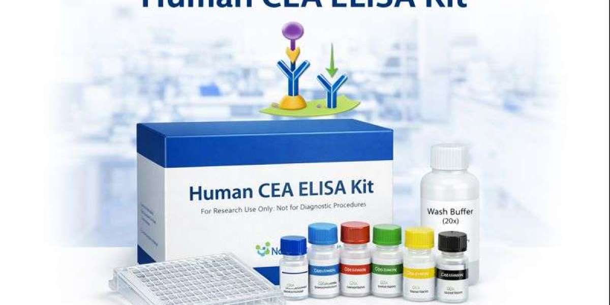 Human Anti-Carbamylated Protein Antibody ( Anti-CarP) ELISA Kit