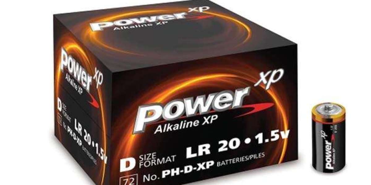 Power XP2 9-volt batteries