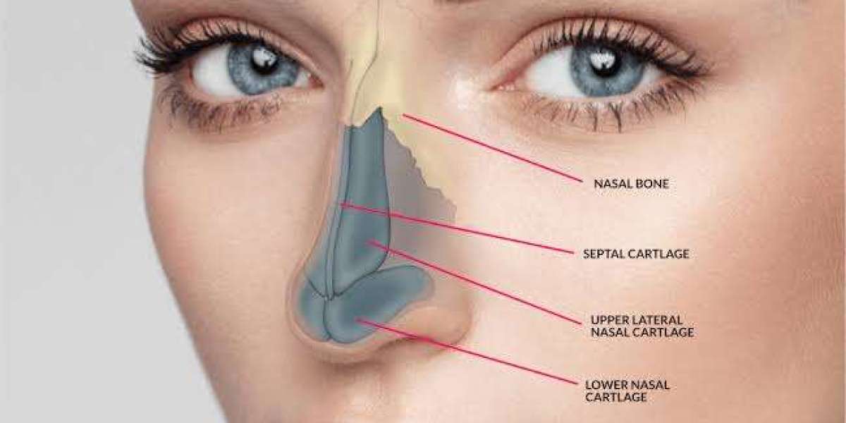 Article Picture