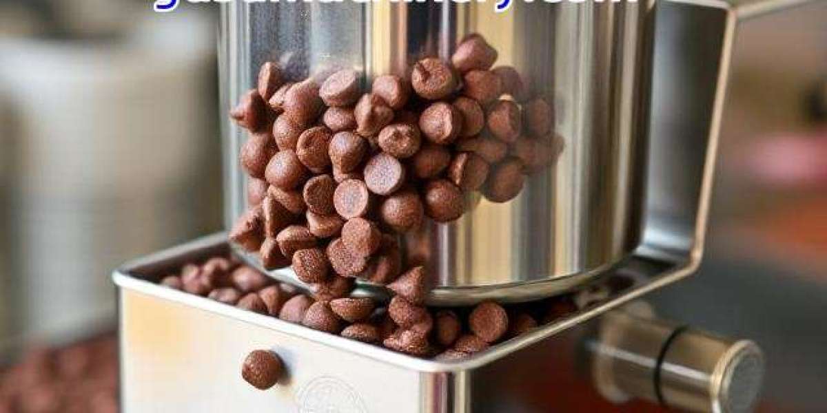 Material Innovation and Smart Engineering in Chocolate Processing Machinery