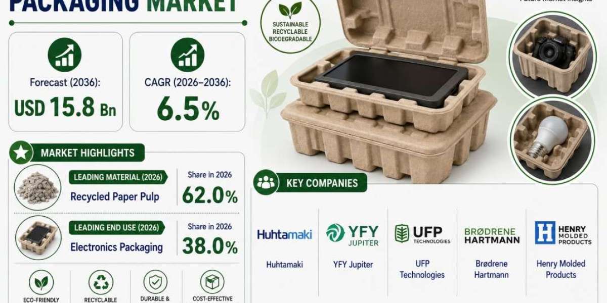 USA Molded Fiber Pulp Packaging Market Highlights Huhtamaki Amid 6.5% CAGR