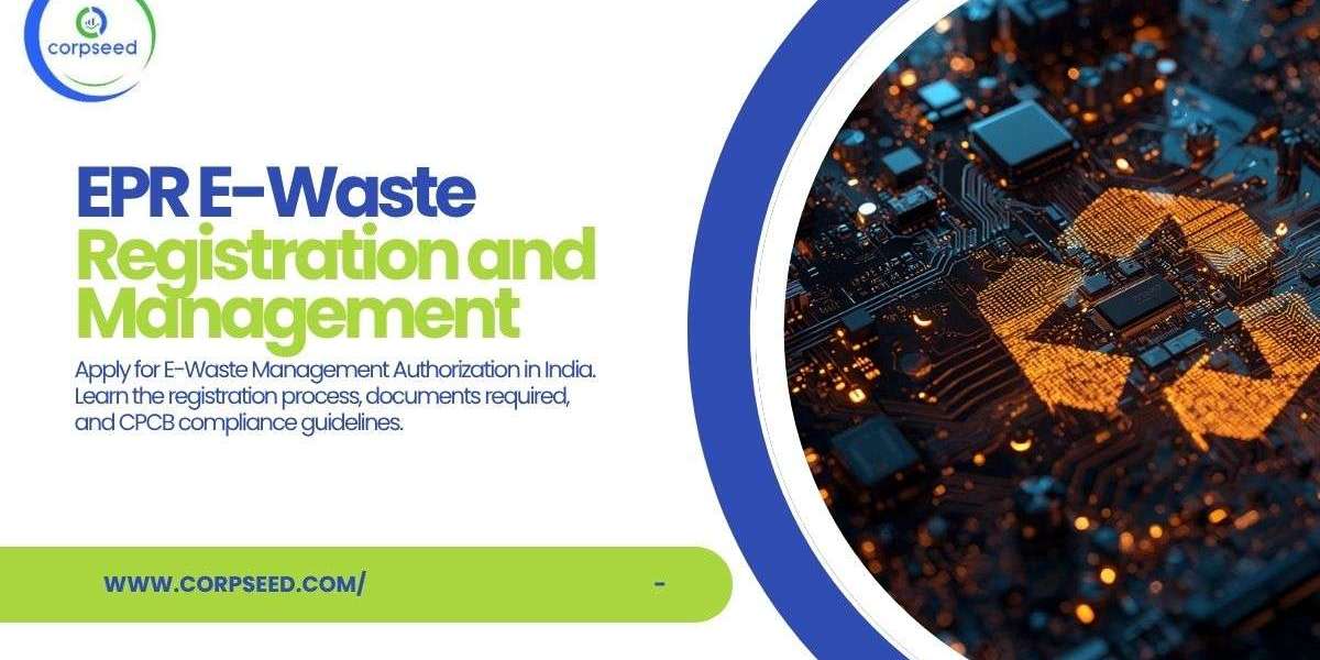 EPR Authorization in India: Everything Businesses Need to Know