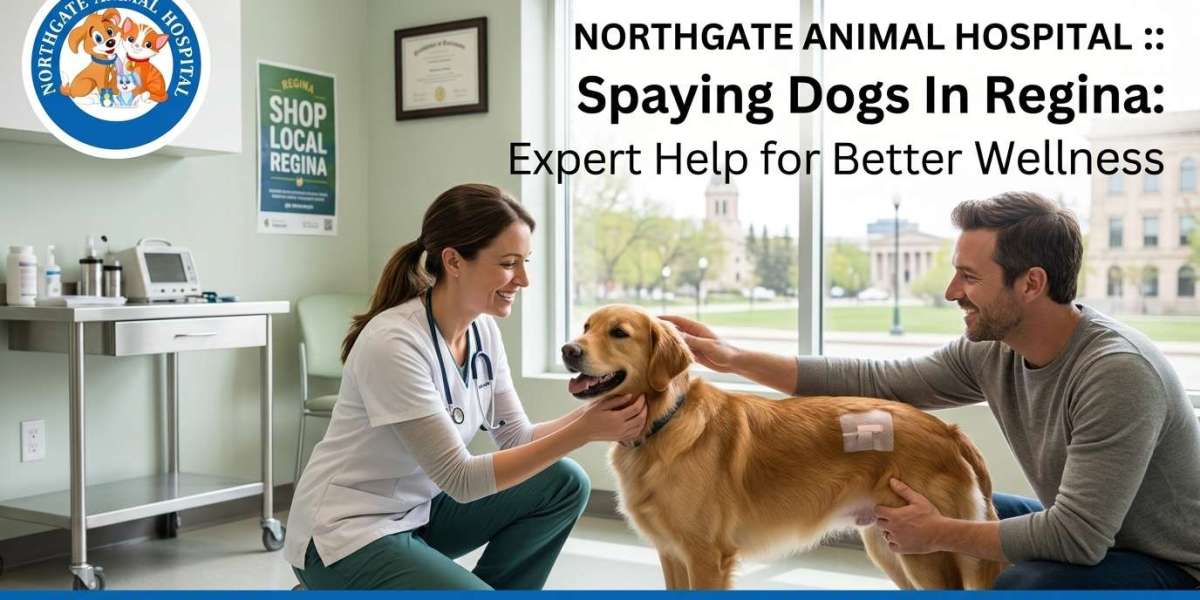 Spaying Dogs In Regina: Expert Help for Better Wellness