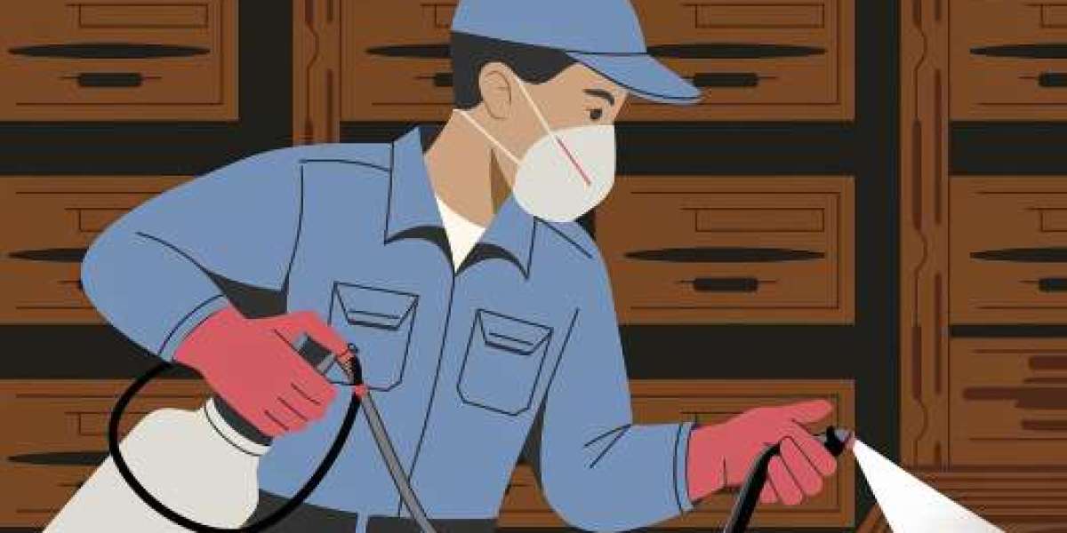 Professional Pest Control Solutions in San Antonio