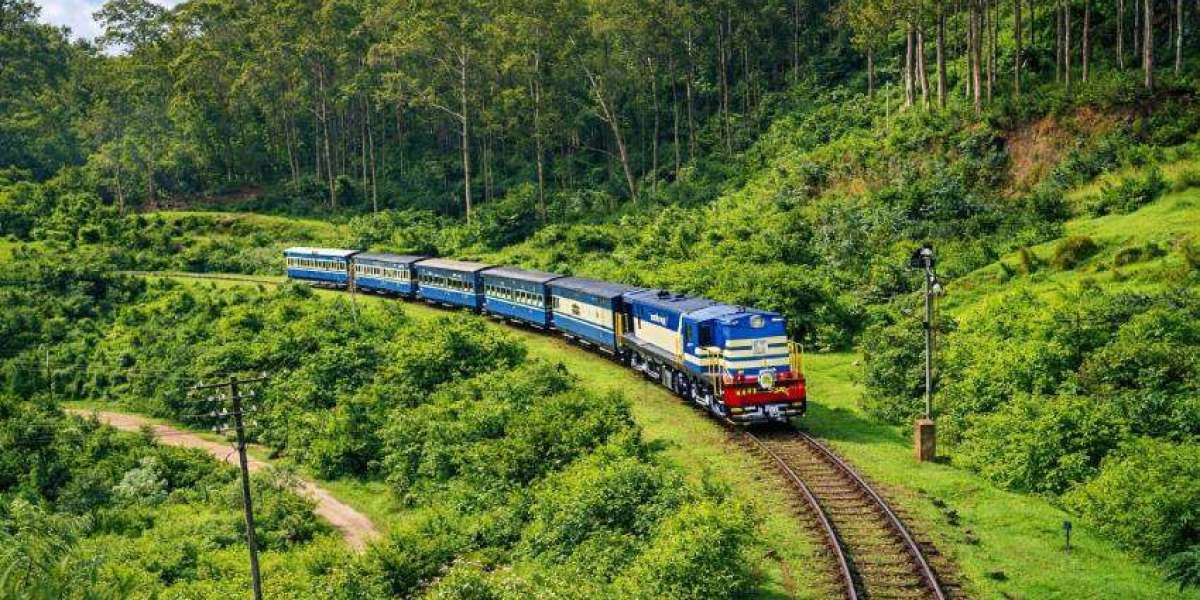 A Complete Travel Guide to the Best Tourist Places in Kumarakom for Every Traveller