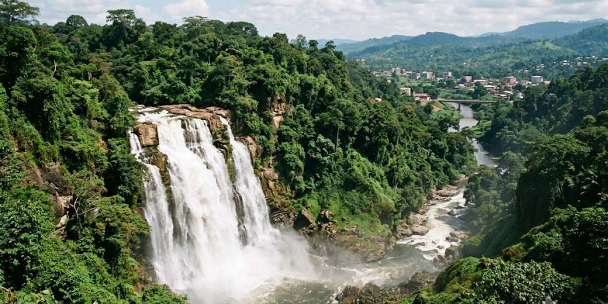 How to Apply for a Democratic Republic of the Congo Entry Visa Online