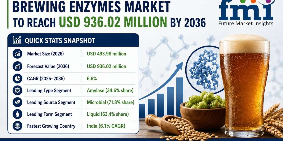 Brewing Enzymes Market Grows from USD 493.98 Million in 2026 to USD 936.02 Million by 2036 at 6.6% CAGR