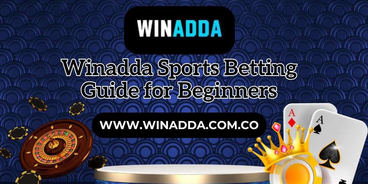 Winadda Sports Betting Guide for Beginners
