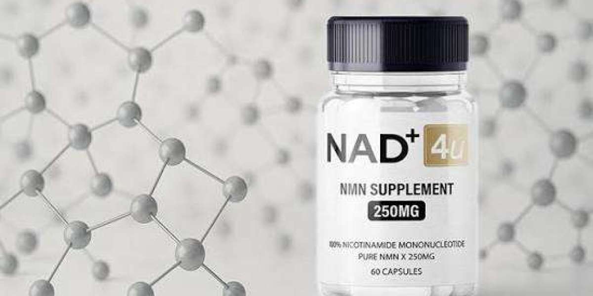 NAD+ and Cellular Resilience: How Cells Respond to Everyday Stress