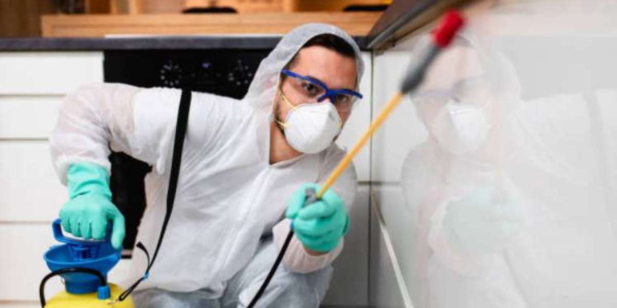 Why Regular Pest Control Saves Homeowners Money in the Long Run