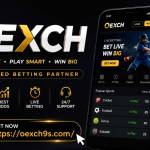 oexch9s Profile Picture