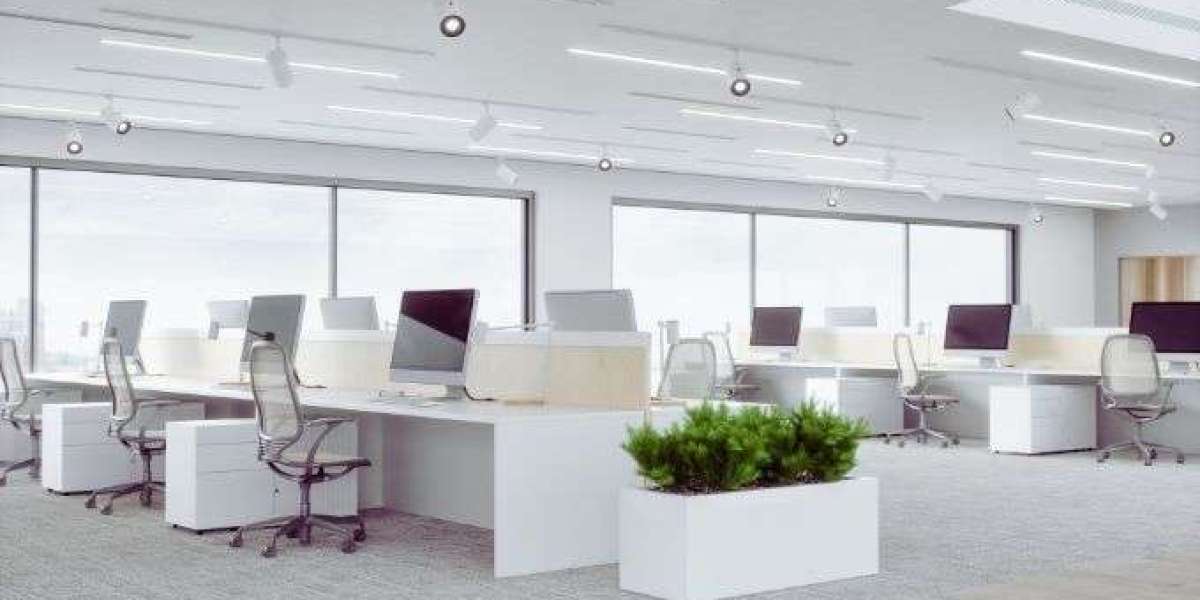 Colour Combination for Office Walls: Ideas to Create a Productive Workspace
