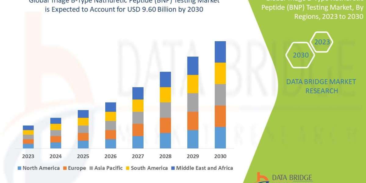 Triage B-Type Natriuretic Peptide Testing Market Growth Driven by Advances in Cardiac Diagnostics