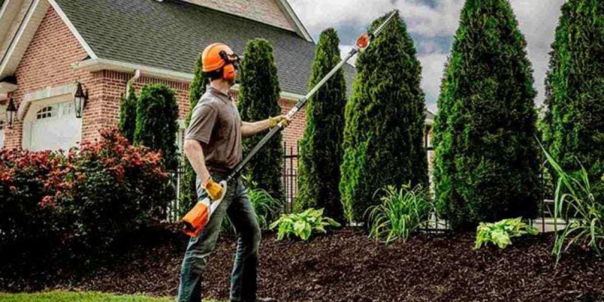 Maintaining Safe and Beautiful Landscapes With Professional Tree Care in Colleyville