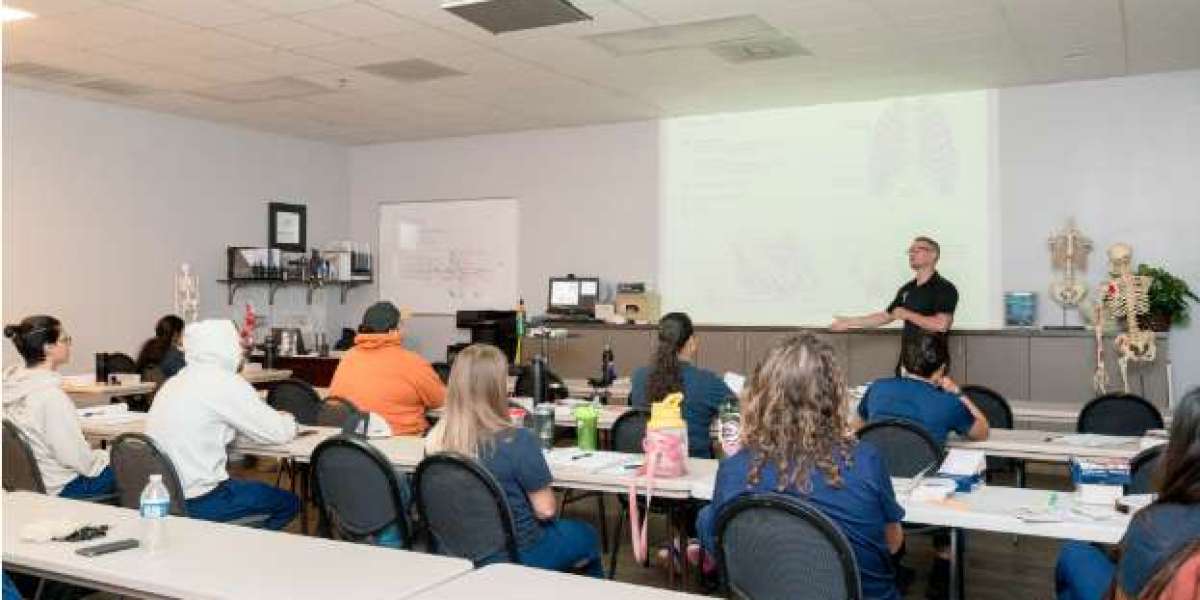 What to Look for When Choosing Massage Therapy Schools in San Antonio