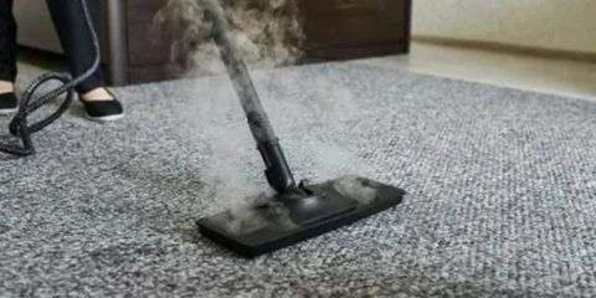 Why Can Steam Carpet Cleaning Reach Dirt That Vacuuming Leaves Behind?