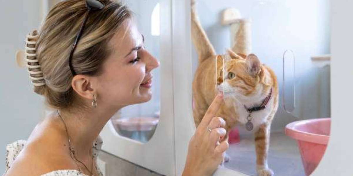 How to Prep Your Pet for Their First Boarding Stay