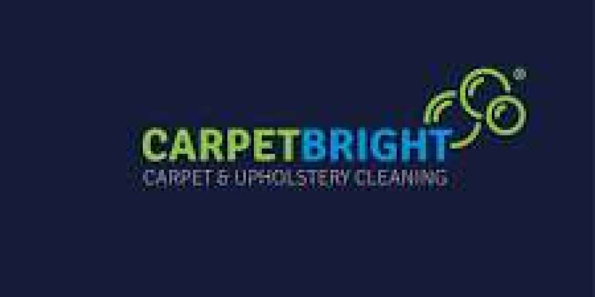Carpet Cleaning Services Supporting Homes With Multiple Carpeted Rooms 