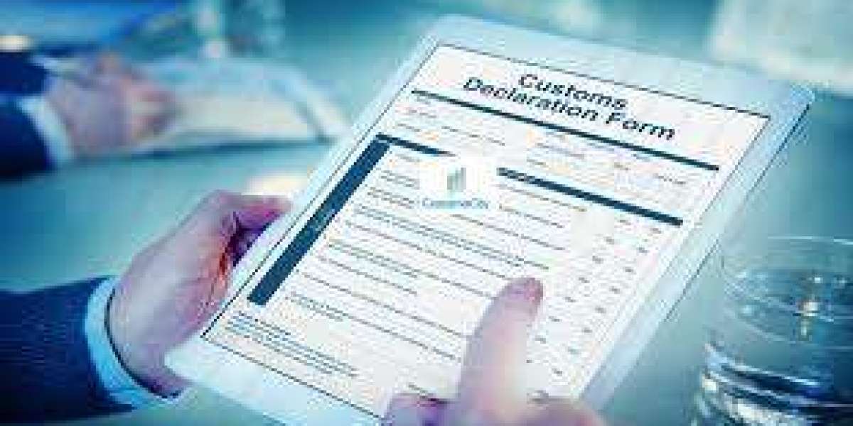 Custom Clearance Software Streamlining Import and Export Processes