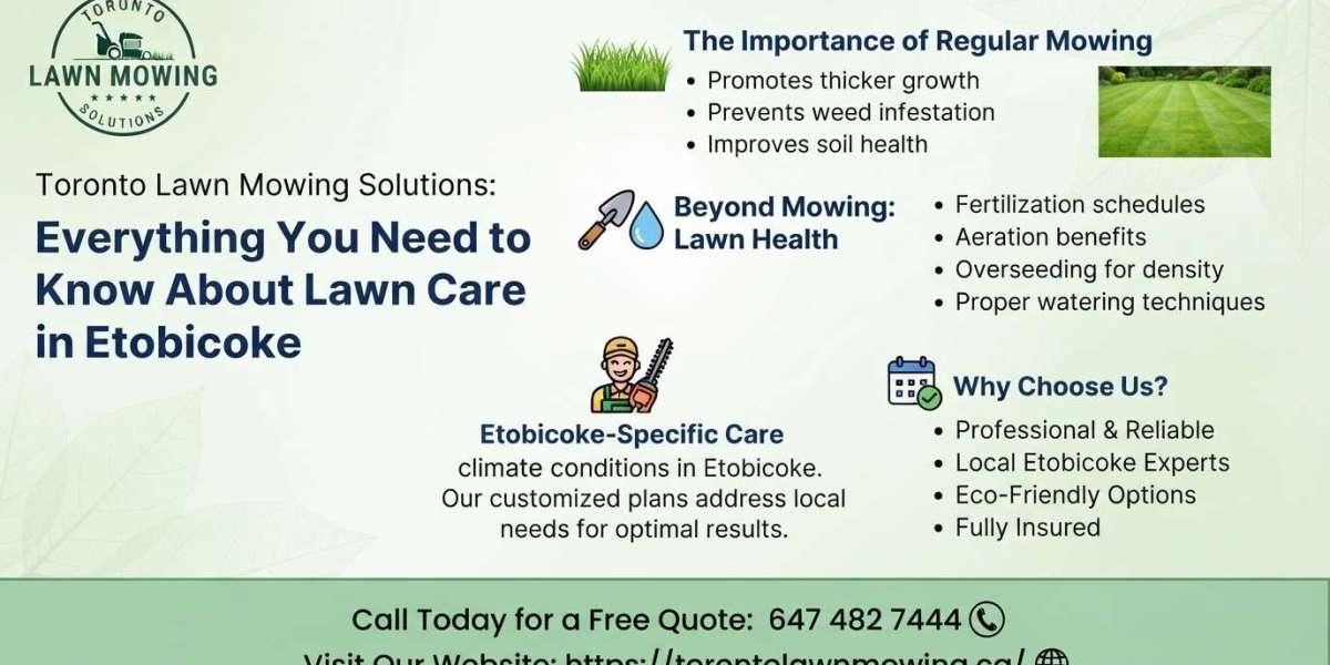 Everything You Need to Know About Lawn Care in Etobicoke
