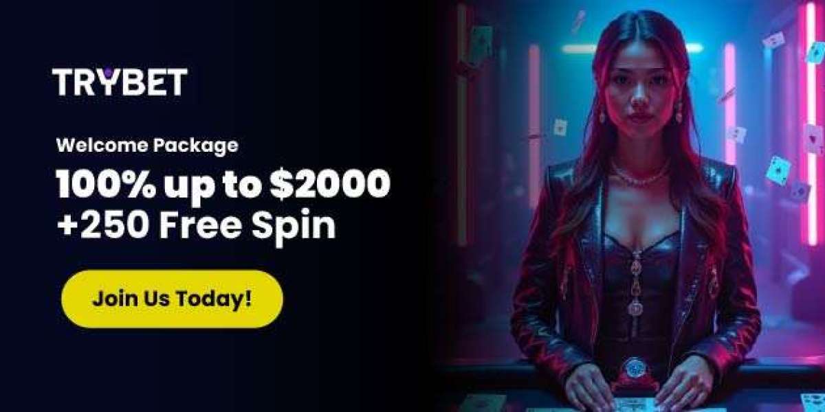 Trybet Casino Reveals What Players Want in Online Gaming