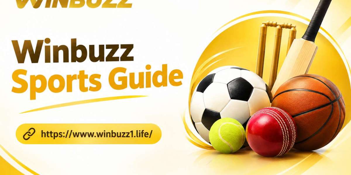 Winbuzz Cricket Features Guide for New Sports Users
